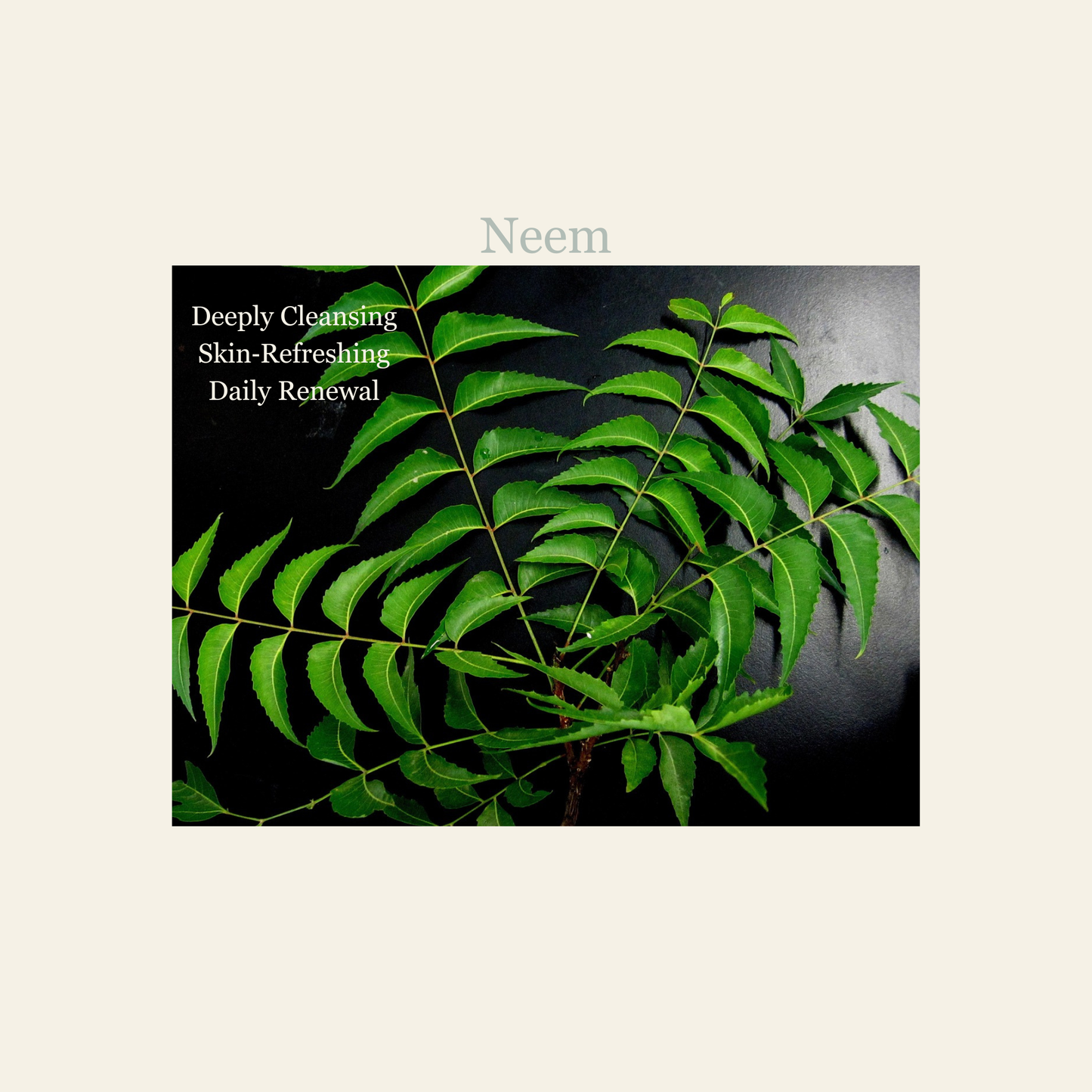 Neem leaves with text about skin benefits on a dark background