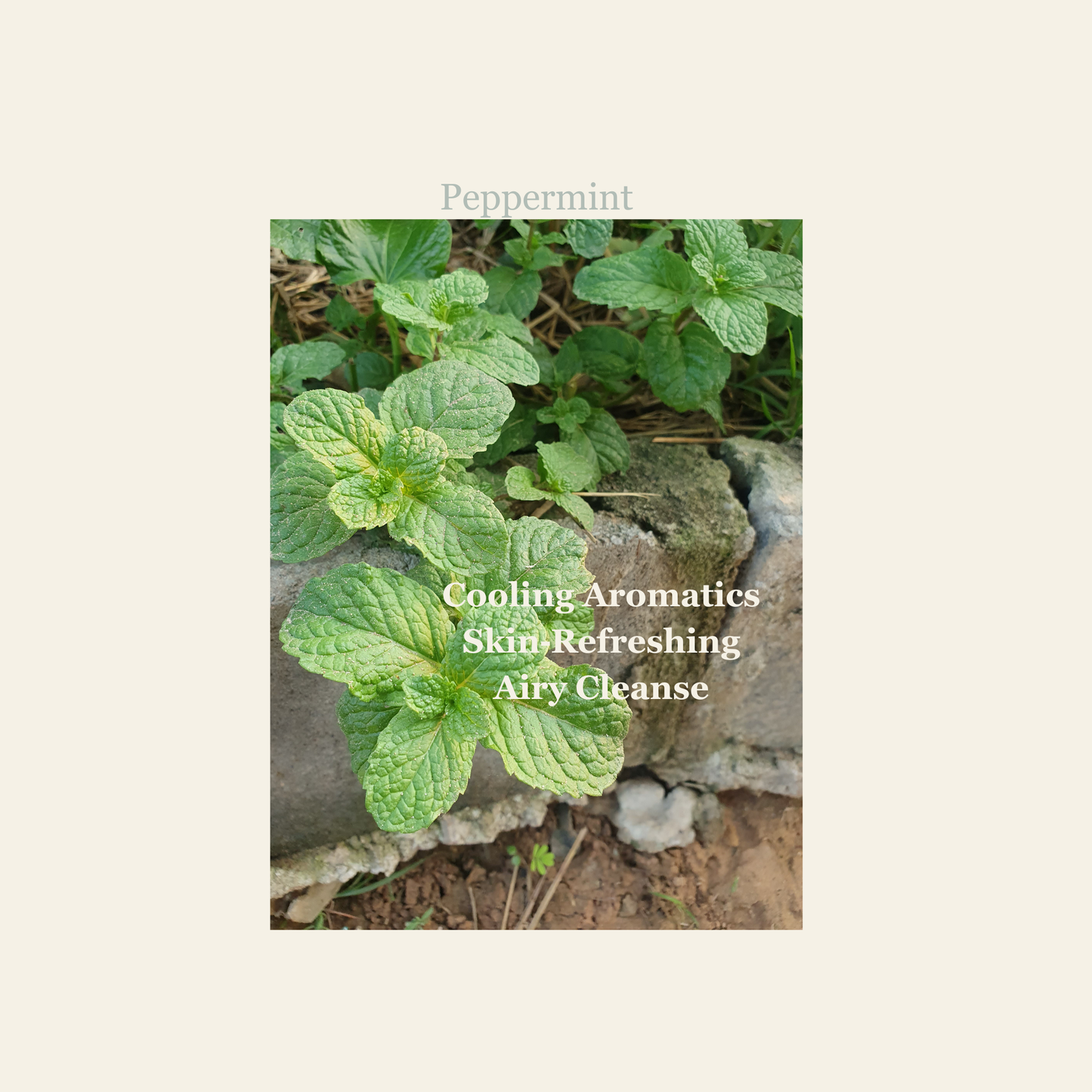 Summer Breeze Cleansing Bar