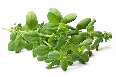 Muscle Euphoria Salve